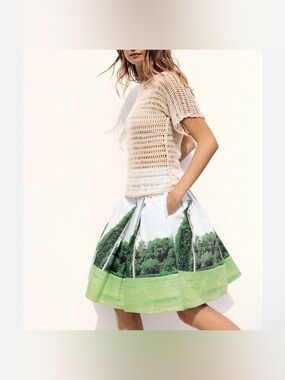 Anthropologie Sarah Ball Photography Women’s Size 6 Skirt Blue Scenic Landscape